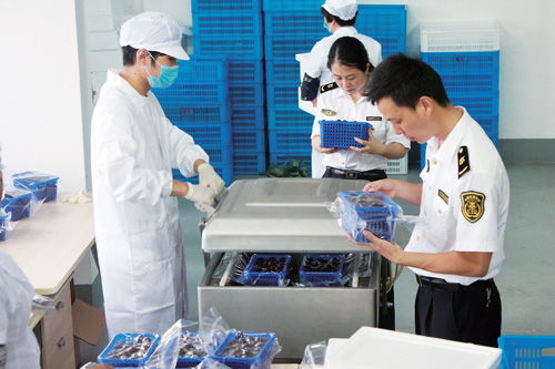 科技賦能農(nóng)業(yè) 山東省博興縣以現(xiàn)代技術(shù)與計(jì)算機(jī)系統(tǒng)服務(wù)推動(dòng)農(nóng)業(yè)升級(jí)